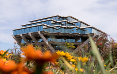 Geisel library with flowers