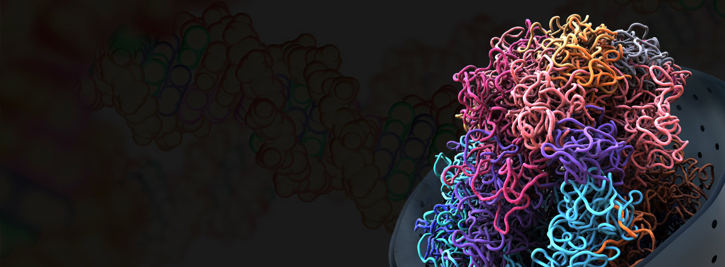 4D Nucleome Single Cell
