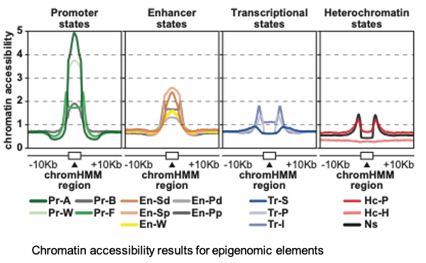 Gorkin ren crop 8 ATAC-seq