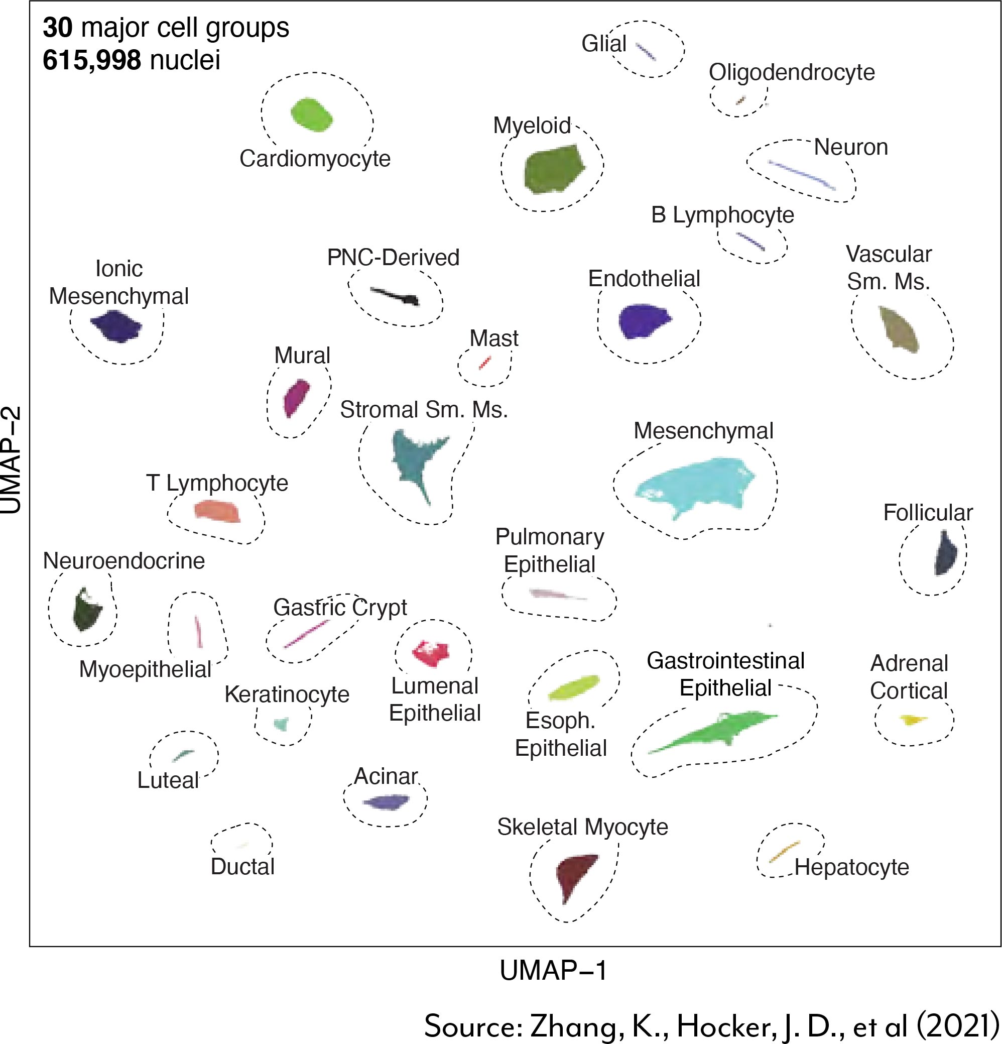 MASSIVE CHROMATIN ACCESSIBILITY ATLAS PROVIDES COMPREHENSIVE FRAMEWORK FOR INTERPRETING MOLECULAR DISEASE MECHANISMS