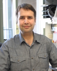 Alexander Goginashvili, PhD